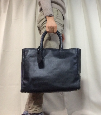 手持ちイメージ